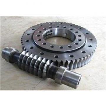 308DBS205y slewing bearing